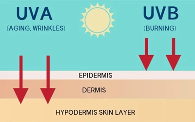 Tia cực tím UVA và UVB có gì khác nhau?