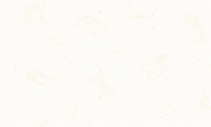 Giấy dán tường Hàn Quốc ALBANY - Mã 8011 2