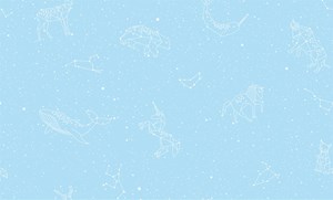 Giấy dán tường Hàn Quốc ALBANY - Mã 8011