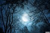 Tranh dán tường 3D cảnh đêm trăng MAV-0165