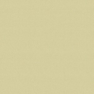 Giấy dán tường Hàn Quốc ALBANY - 6813