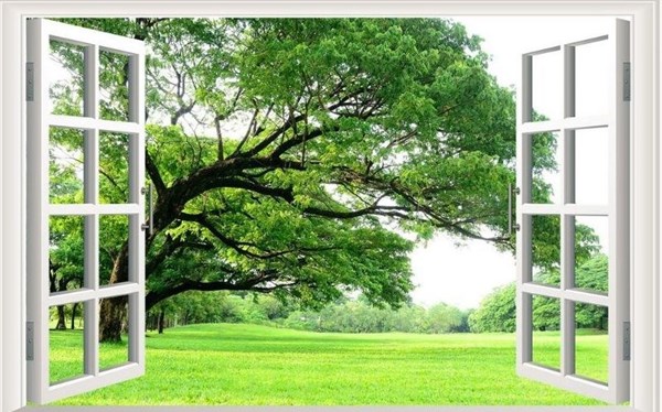Tranh dán tường cửa sổ 3D công viên
