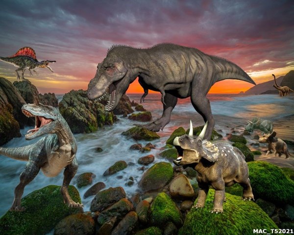 Tranh dán tường cho bé - Thế giới khủng long