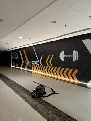 Tranh in dán tường cho lối ra vào TTTM