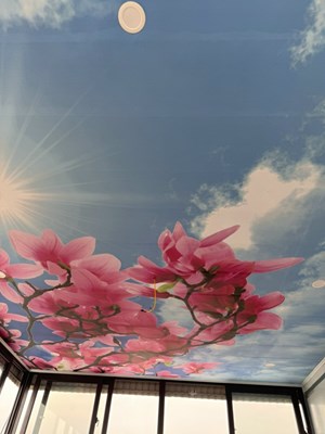 Tranh dán trần 3D cho phòng khách 2