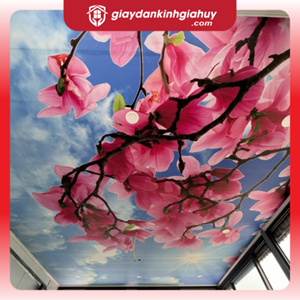 Tranh dán trần 3D cho phòng khách