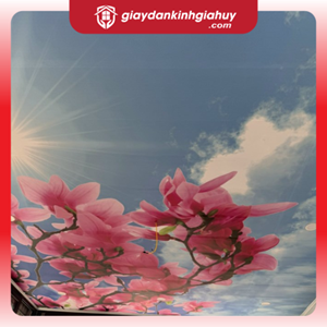 Tranh dán trần 3D cho phòng khách 2