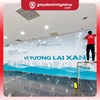  In decal lưới dán kính