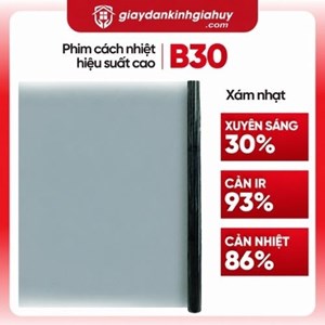 Phim cách nhiệt Hàn Quốc B30 2