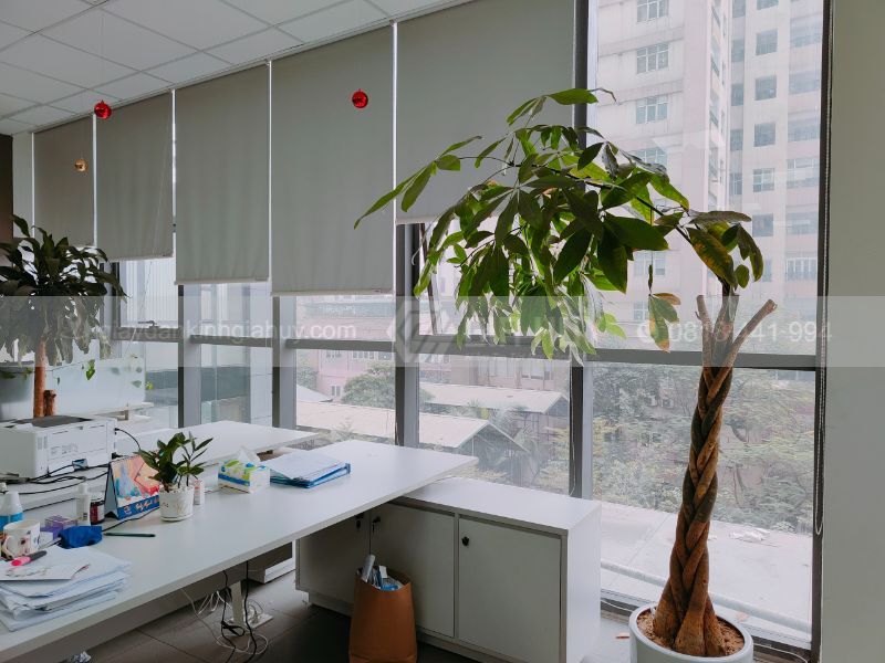 phim cách nhiệt nhà kính giá rẻ