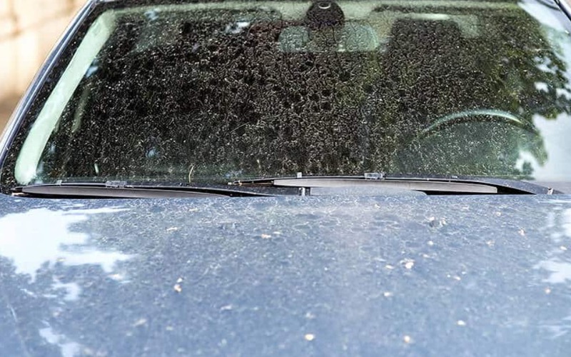 Kính ô tô cần được rửa sạch thường xuyên để lái xe an toàn