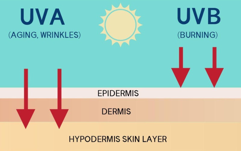 Tia UVA có khả năng xâm nhập vào da sâu hơn so với tia UVB