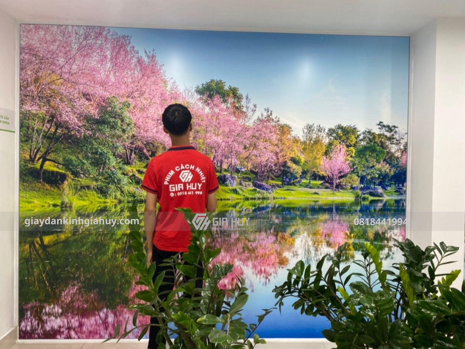 tranh dán tường phong cảnh thiên nhiên