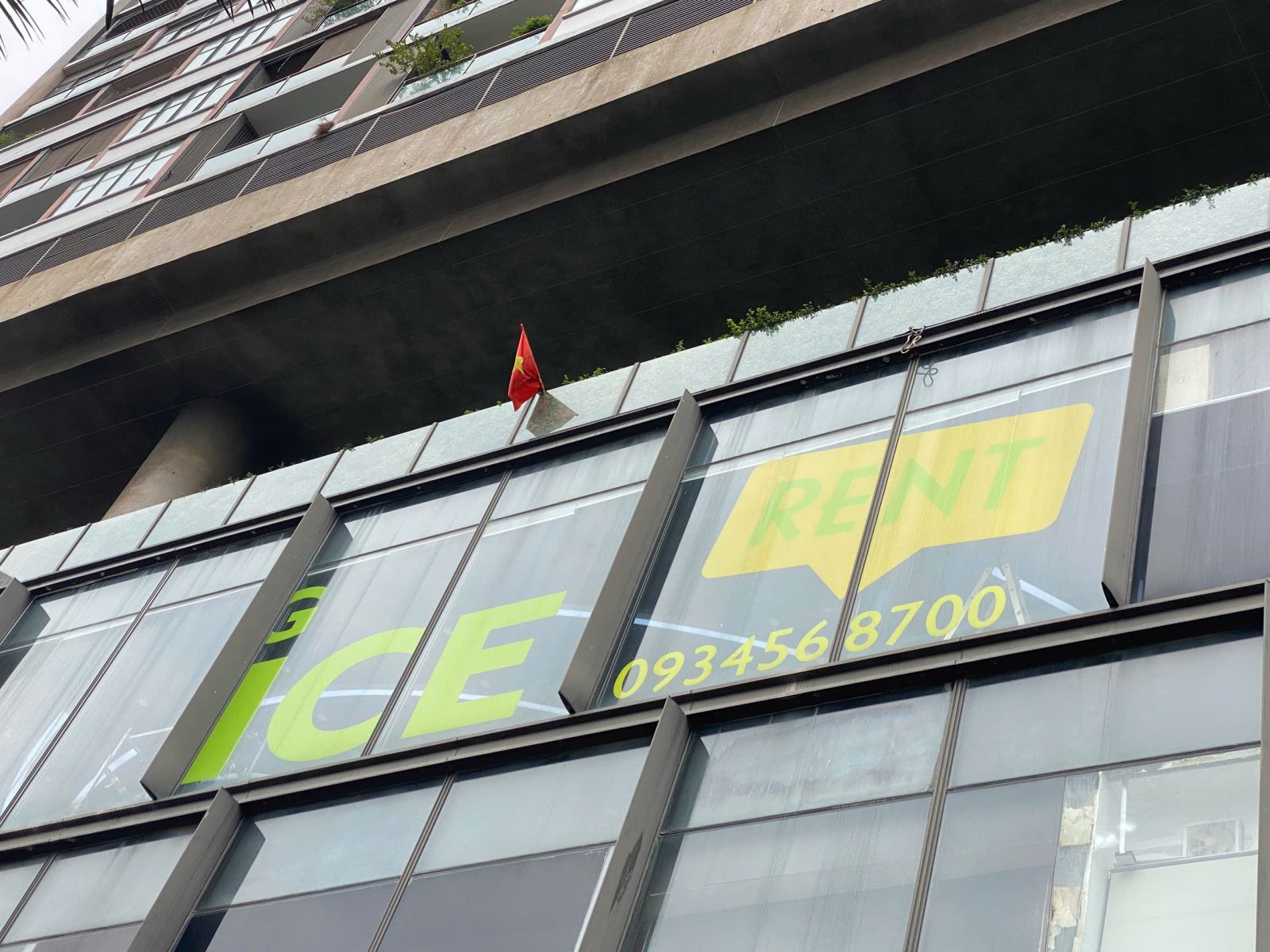 decal siêu trong in màu