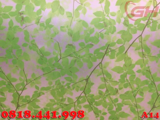 Mã giấy lá cây xanh mát Đài Loan chất lượng cao